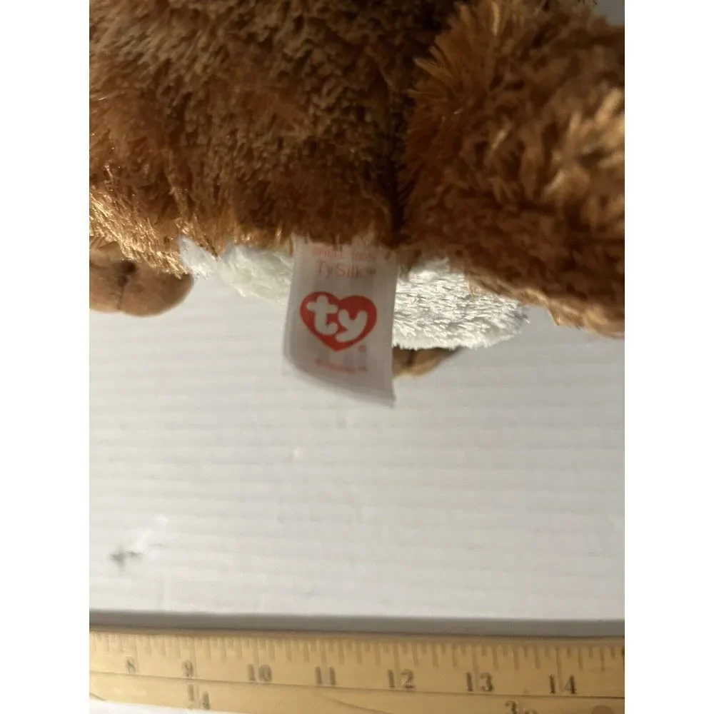 Ty 6